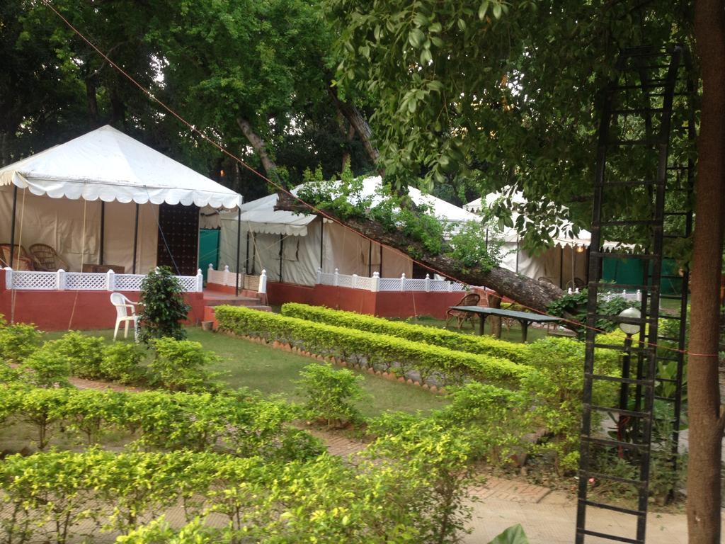 The Aravali Tent Resort Udaipur Room photo